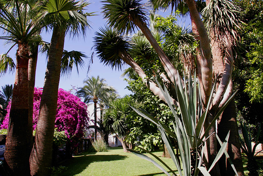 توريمولينوس Hotel Apartamentos Bajondillo المظهر الخارجي الصورة The garden of the villa